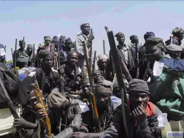 Convicted Boko Haram members can